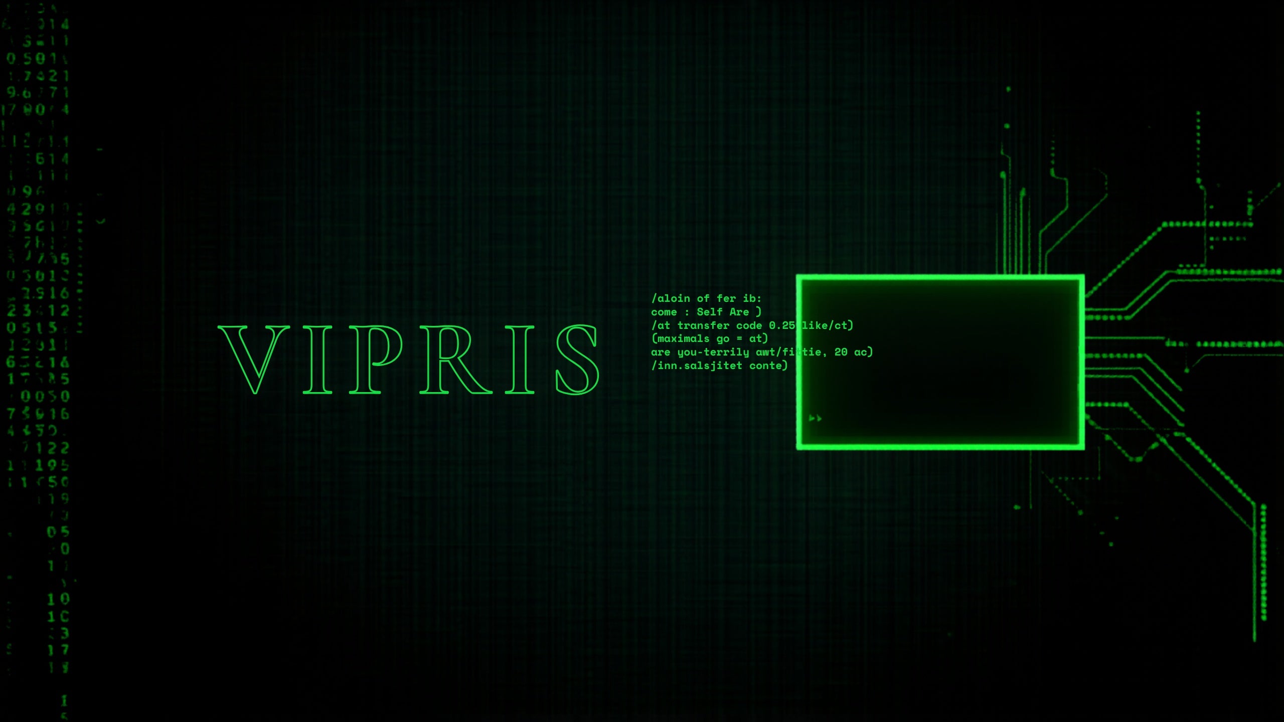Vipris hero banner - hacker theme